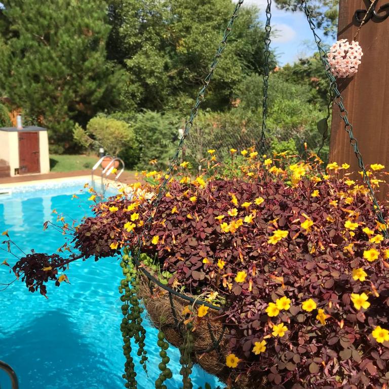 La Bonita para dos - Apartamento con vistas a la piscina - 12
