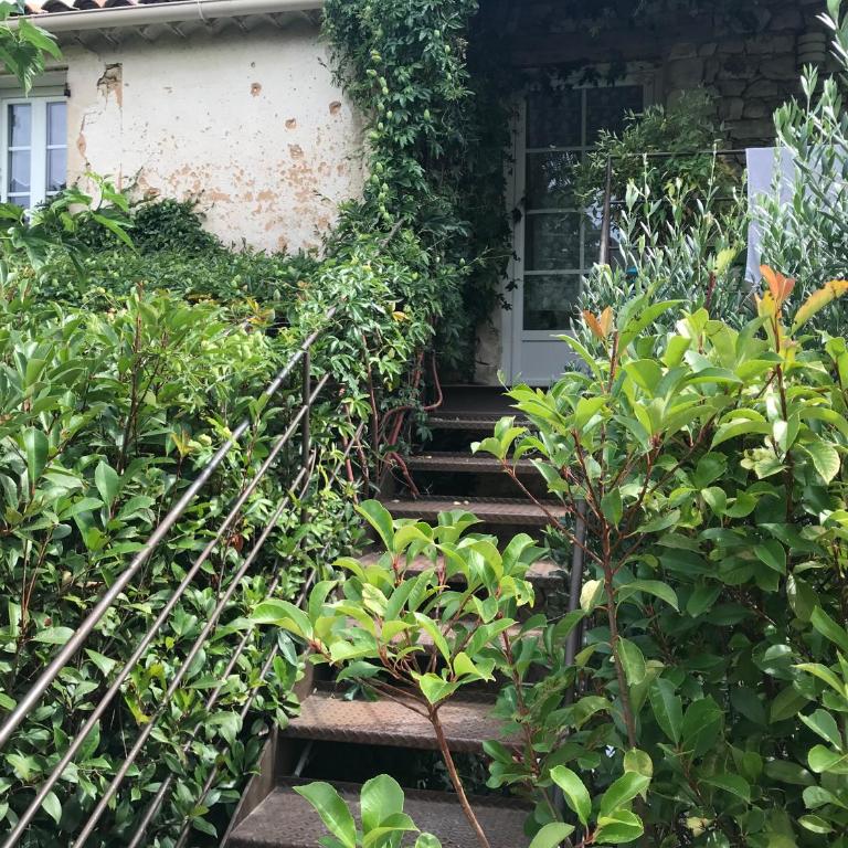 Lou mas li Pitchoun "Le cortassien " - Apartamento de 1 dormitorio - 3