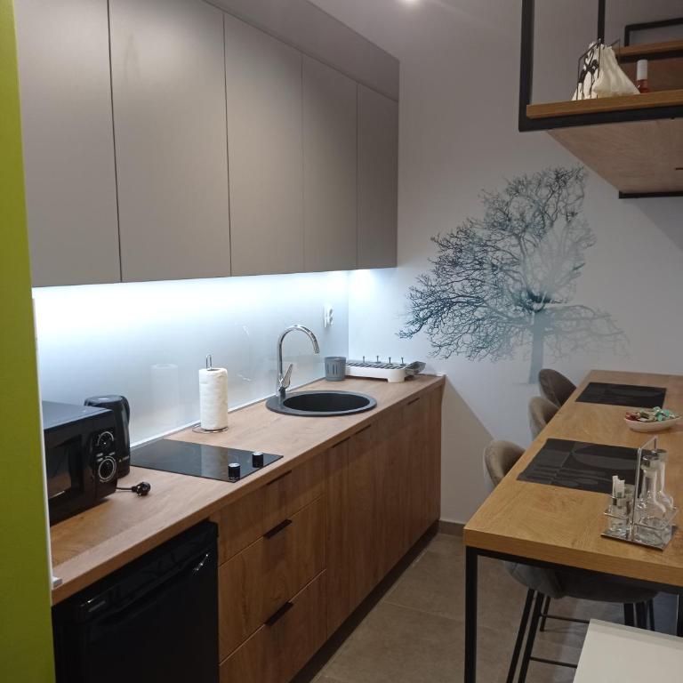 Apartman Pale centar Free parking - Deluxe Double Studio - 3