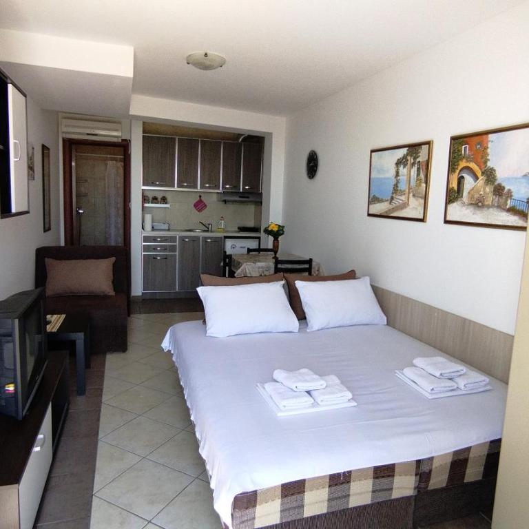 Rakocevic Apartments - Standard Studio - 2