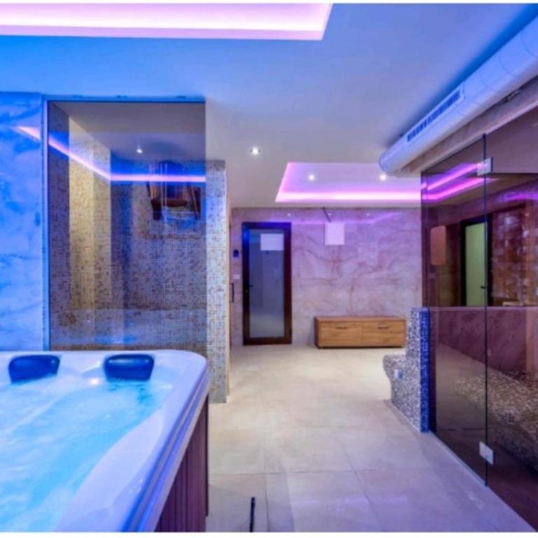 Zlatibor Apartman & Spa Casa Perfetta - Apartman sa 1 Spavaćom Sobom - 43