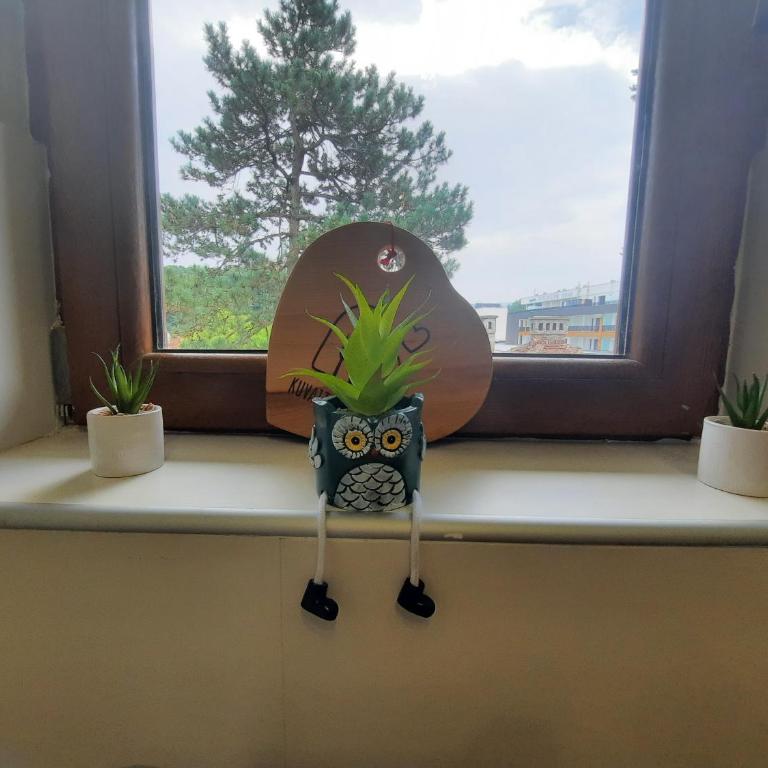 Apartman Korićanac Vrnjačka Banja - Apartman sa 1 Spavaćom Sobom - 20