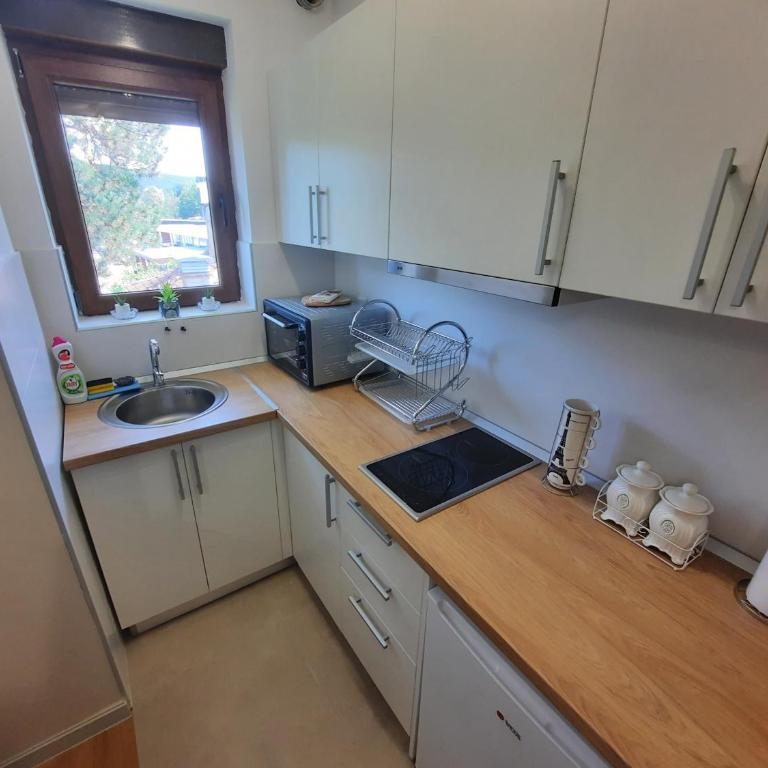 Apartman Korićanac Vrnjačka Banja - Apartman sa 1 Spavaćom Sobom - 14