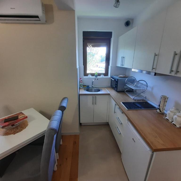 Apartman Korićanac Vrnjačka Banja - Apartman sa 1 Spavaćom Sobom - 13