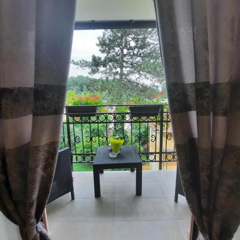 Apartman Korićanac Vrnjačka Banja - Apartman sa 1 Spavaćom Sobom - 11