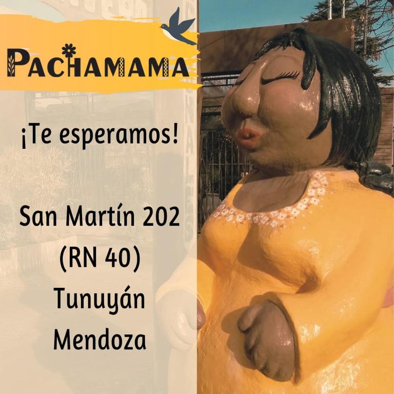 Departamentos Pachamama - Apartamento de 1 dormitorio - 3