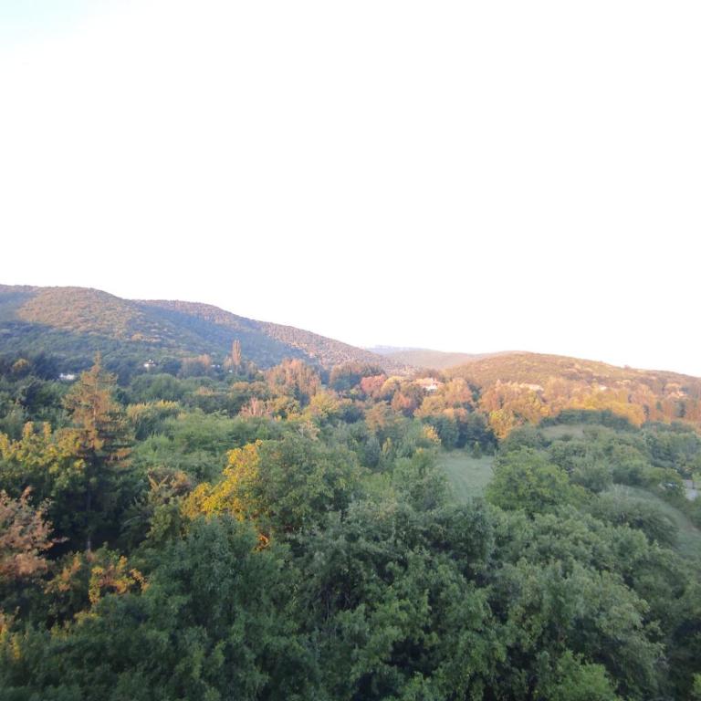Sky Apartman - Apartman sa 1 Spavaćom Sobom - 51