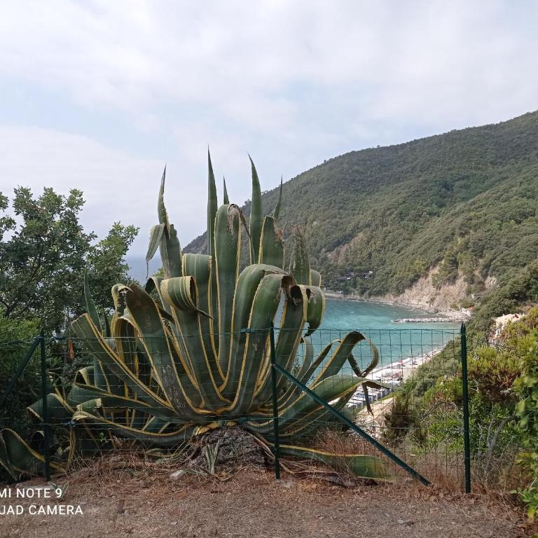 Casafischea18 - Appartamento con 2 Camere da Letto - 17
