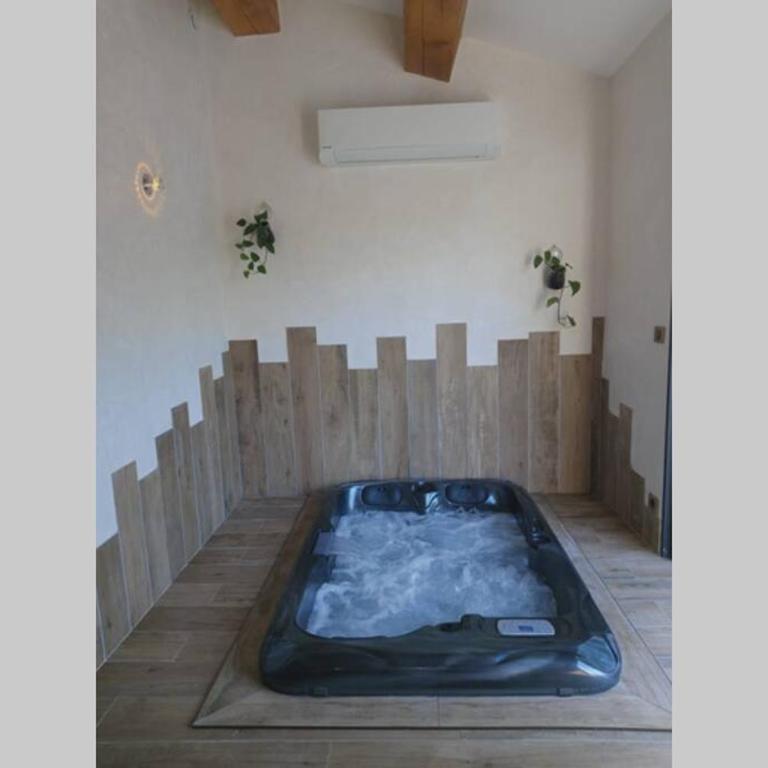 Un petit coin de Bali avec SPA et piscine privés - Maison 1 Chambre - 1