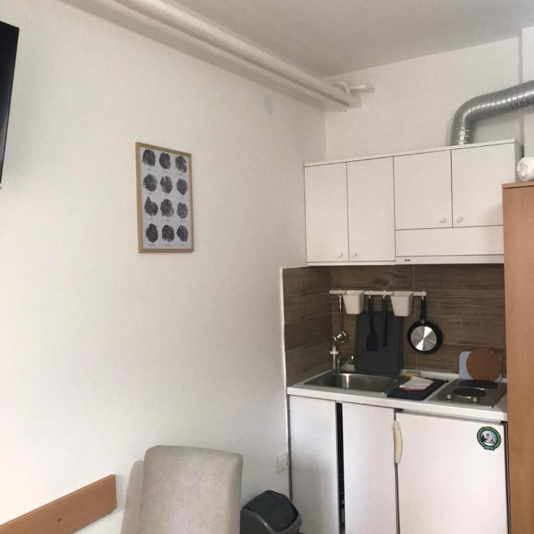 Smeštaj Filipović - Apartman sa 1 Spavaćom Sobom - 10