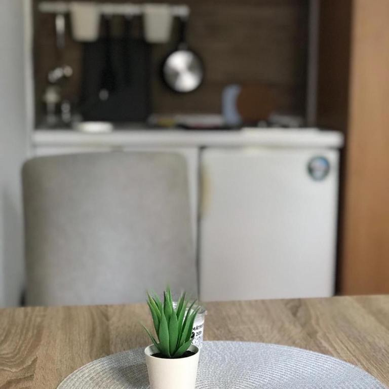 Smeštaj Filipović - Apartman sa 1 Spavaćom Sobom - 5