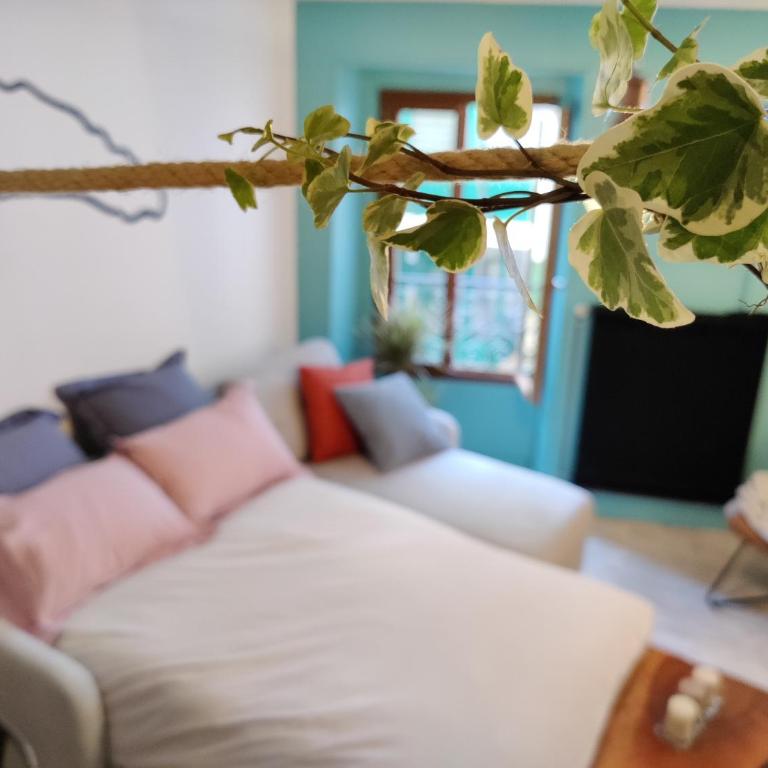 Appartement Hyper Centre Evian - Leman Odyssey - Apartamento de 2 dormitorios - 16