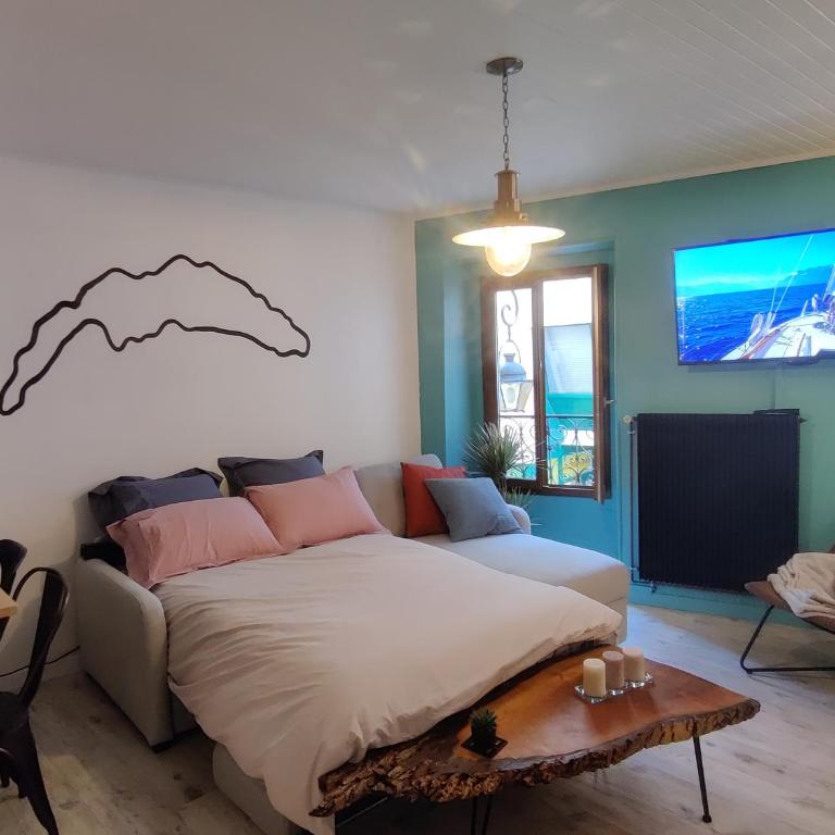 Appartement Hyper Centre Evian - Leman Odyssey - Apartamento de 2 dormitorios - 28