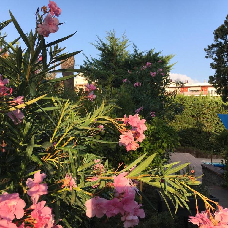 Villa Alessia - Suite 2 Chambres - 24