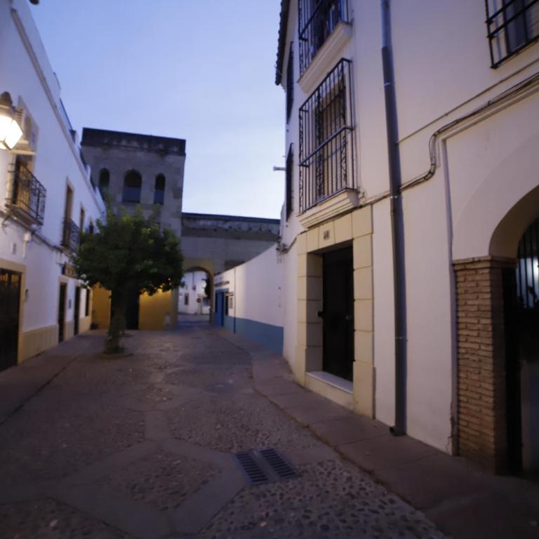 Apartamento en San Basilio junto a Torre de Belen - Apartamento de 1 dormitorio - 18
