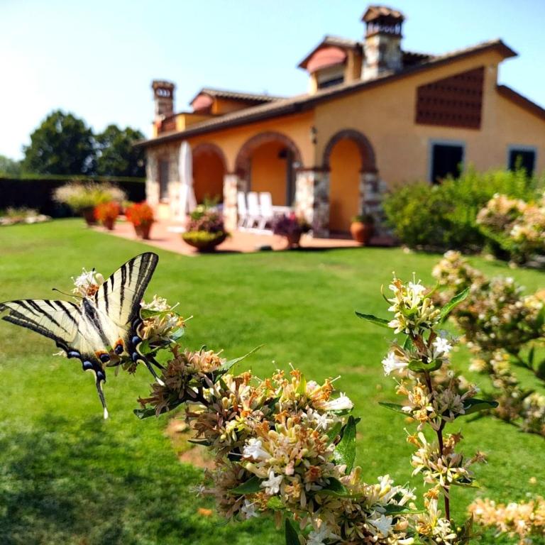 Tuscan Villa exclusive use of private pool A/C Wifi Villa Briciola - Villa con 3 Camere da Letto e Piscina Privata - 37