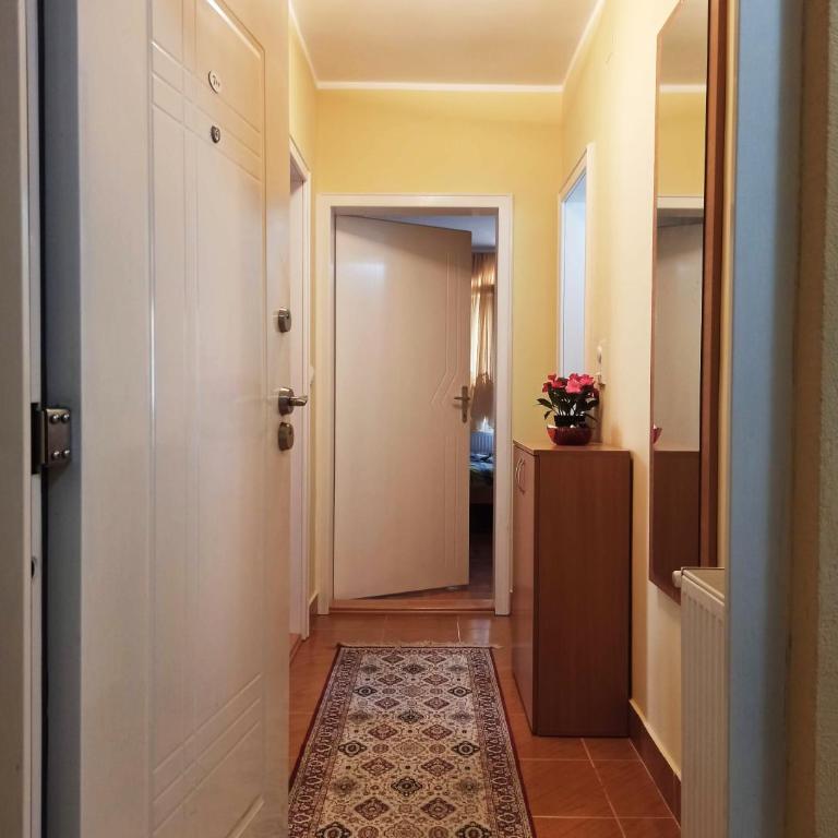 Modern Lux Apartment - Apartman sa 1 Spavaćom Sobom - 19