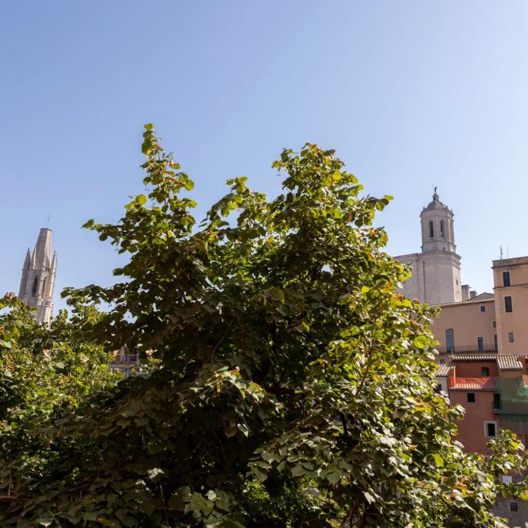 Bravissimo Pont de la Princesa, comfortable 3-bedroom apartment - Apartamento de 3 dormitorios - 33