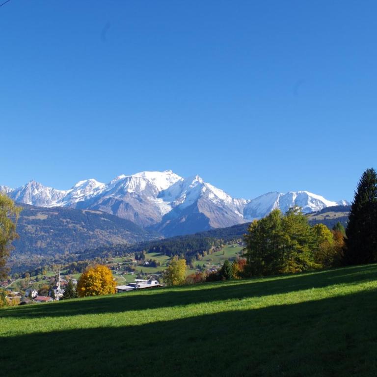 Chalet Le Sabot De Venus - Chalet - 37