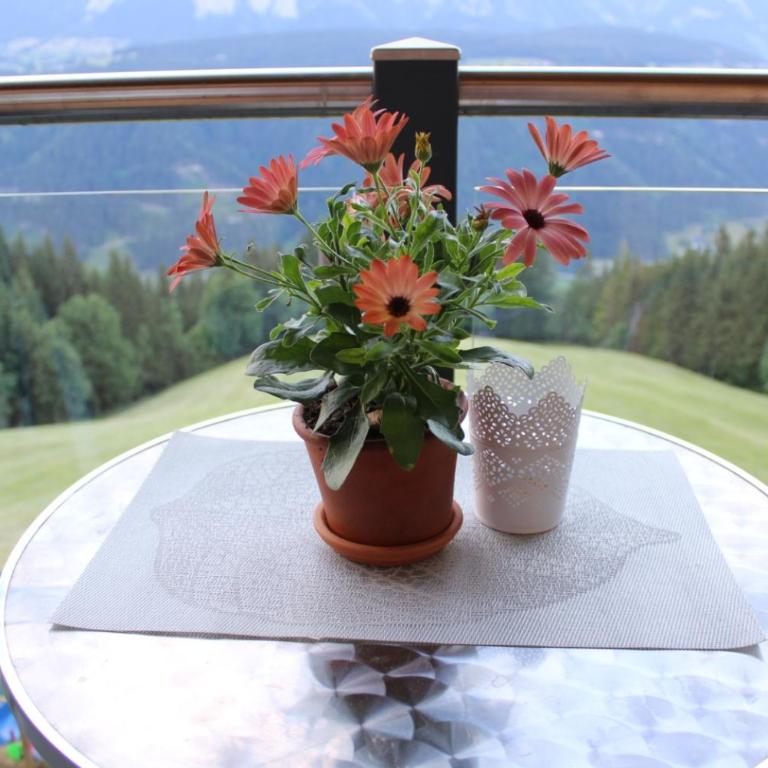 Ferienwohnungen Reinbacher - Primps - Apartment mit Balkon - 10