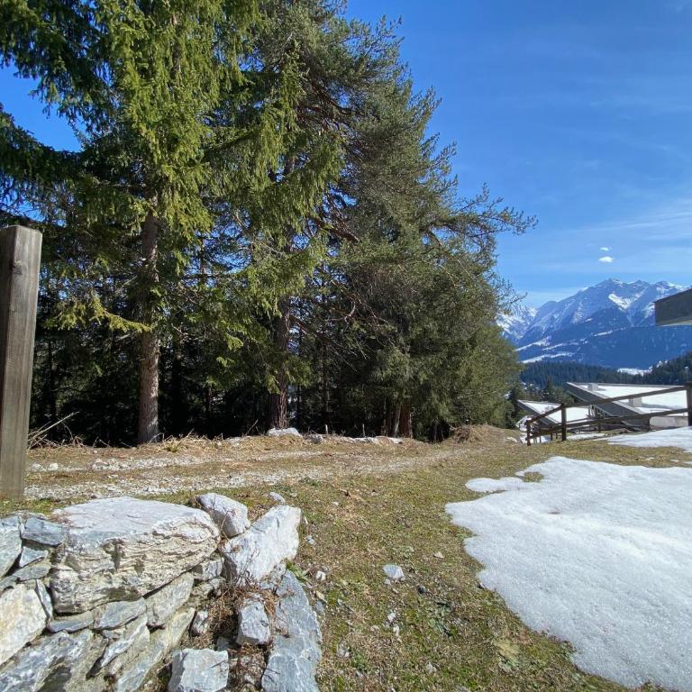 Alp Resort Ski In/Ski Out - 4.5 Zimmerwohnung für max. 7 Personen - Apartment mit 3 Schlafzimmern - 27
