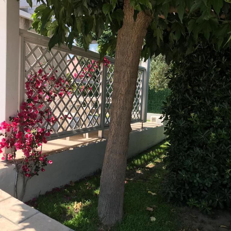 La maison de Virginie 6 a 12 personnes -300 m de la plage- vélos a disposition - Villa avec Piscine Privée - 97