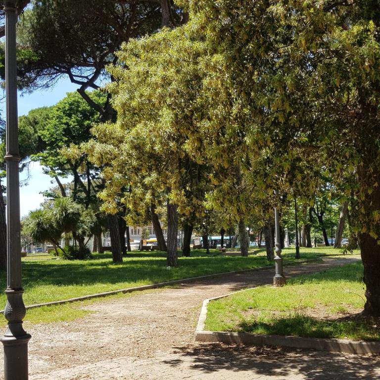 Historical Apartments By Seaside - Appartamento Superior - 15