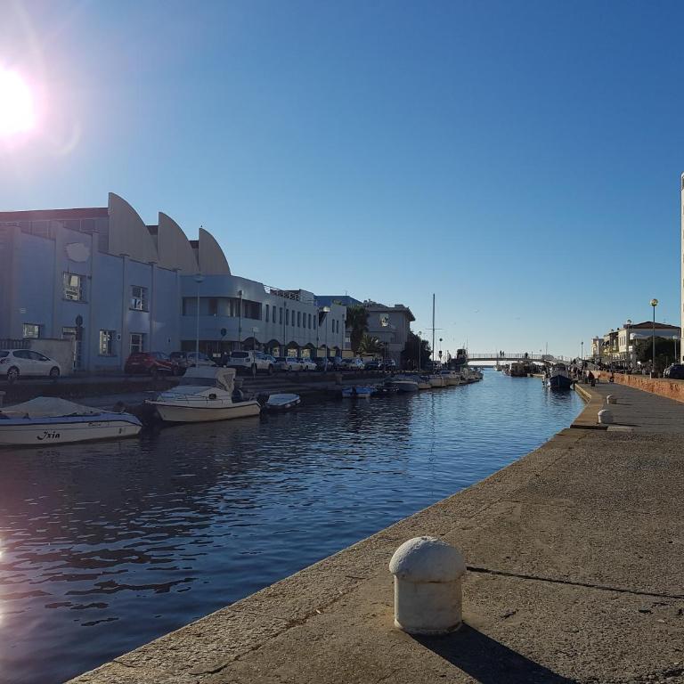 Historical Apartments By Seaside - Appartamento Superior - 3
