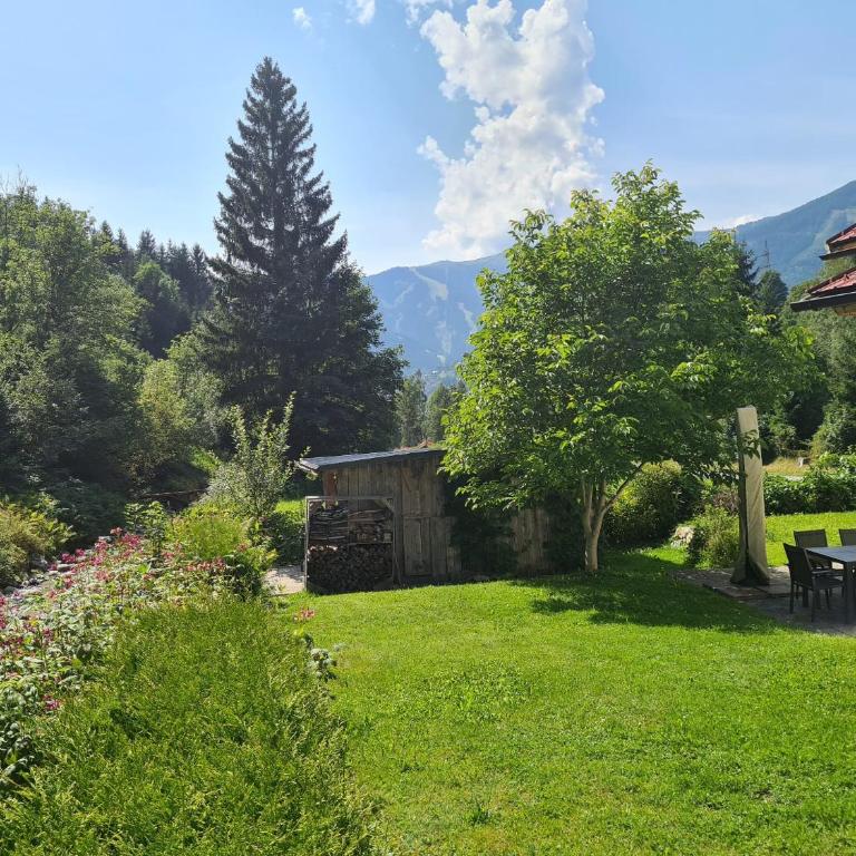 AmThumersbach - Chalet - 21