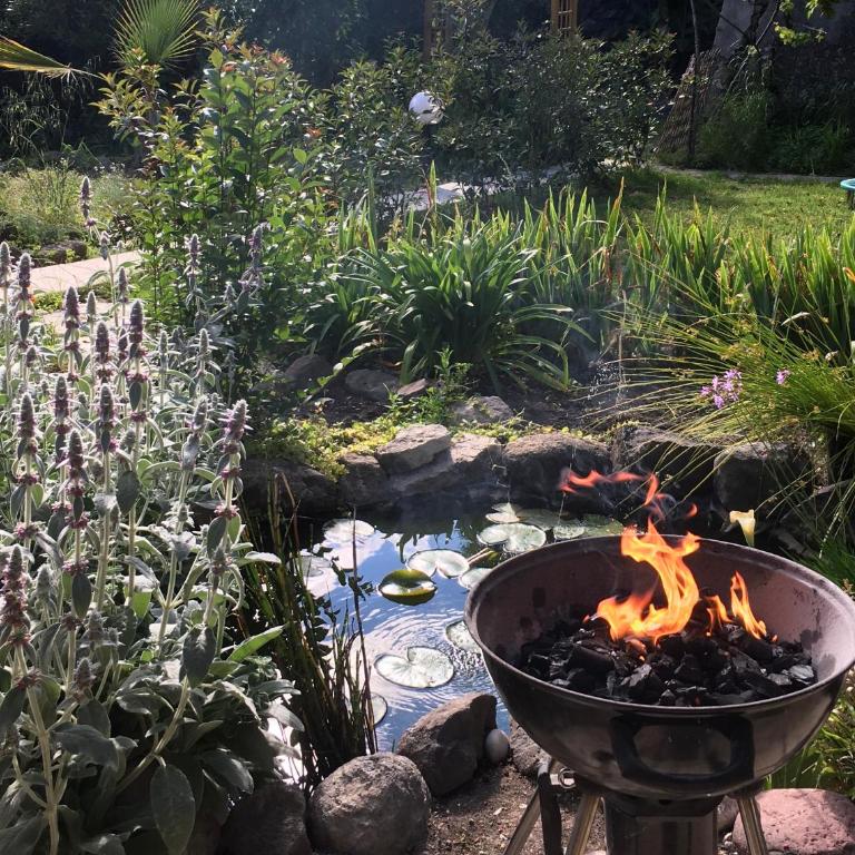 Garden Annexe 2 - Maison 1 Chambre - 16