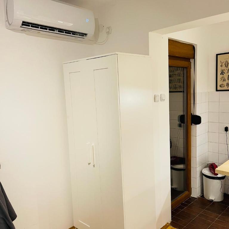 Sokobanja Apartman Aleksa - Apartment - 9