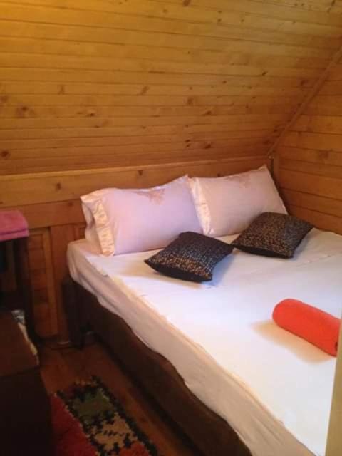 Apartmani Dada Kanjon Grmuša - Three-Bedroom House - 18