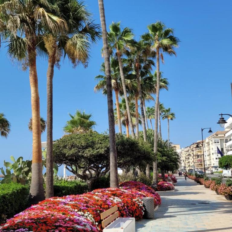 Free Parking, 40 meters from the beach, WI-FI, AC - Apartamento de 1 dormitorio - 41