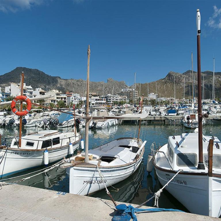 Owl Booking Villa Pau - Fantastic Views - Villa con piscina privada - 36