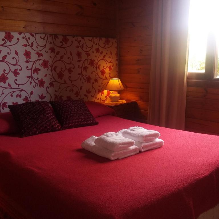 Hosteria Rukahué - Habitación Doble - 6