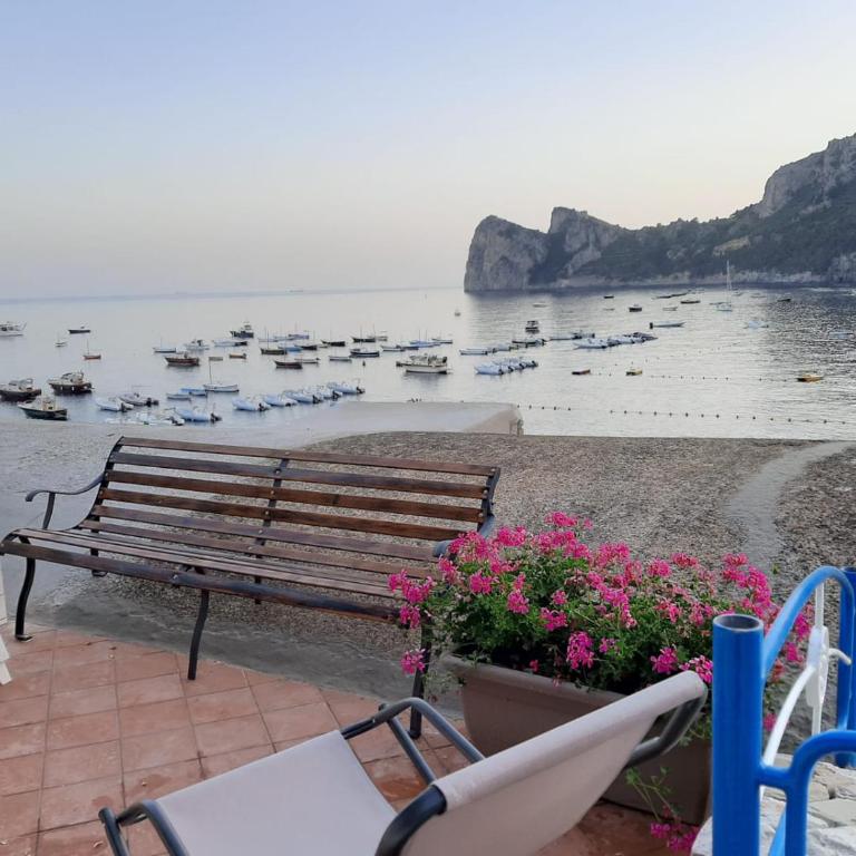 Terrace On The Sea - One-Bedroom Apartment - 4