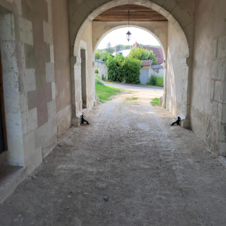 Charmant gite en rez-de-jardin - Apartment mit 1 Schlafzimmer - 23