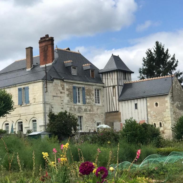 Charmant gite en rez-de-jardin - Apartment mit 1 Schlafzimmer - 5