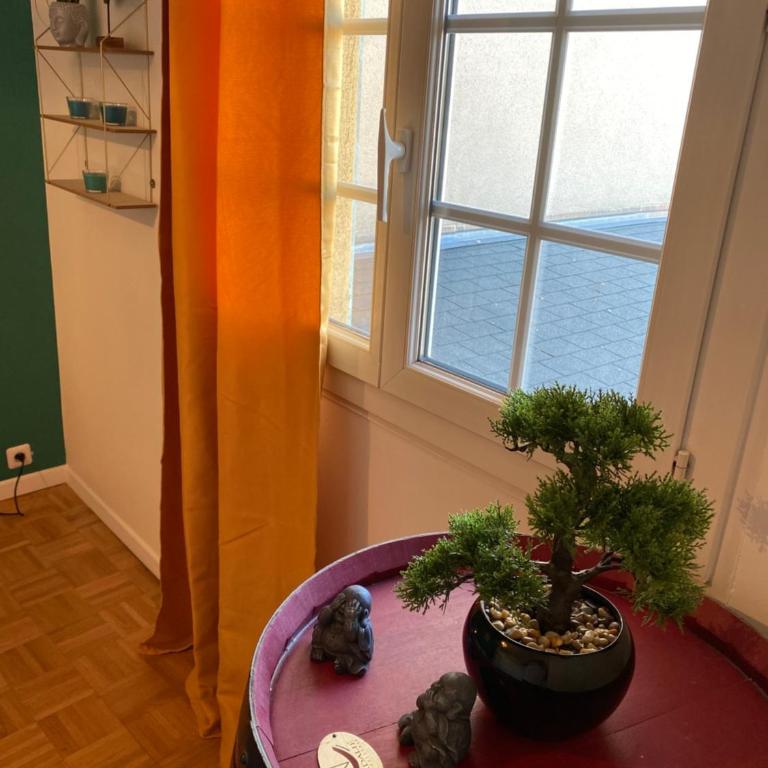 Le Rhin et Danube wifi - Appartement 2 Chambres - 8