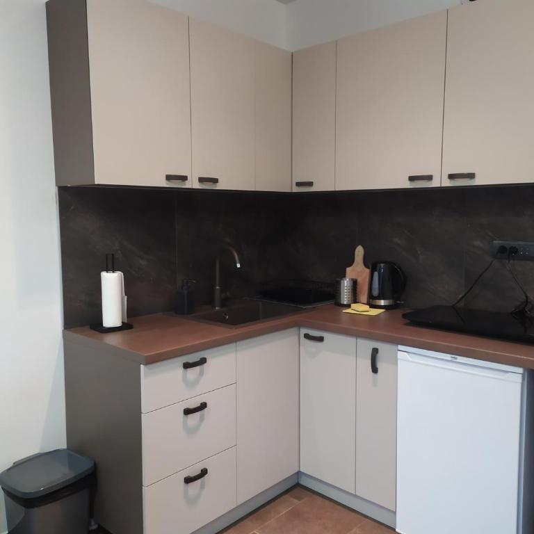 Diamond Sunrise - Apartman sa 1 Spavaćom Sobom - 27