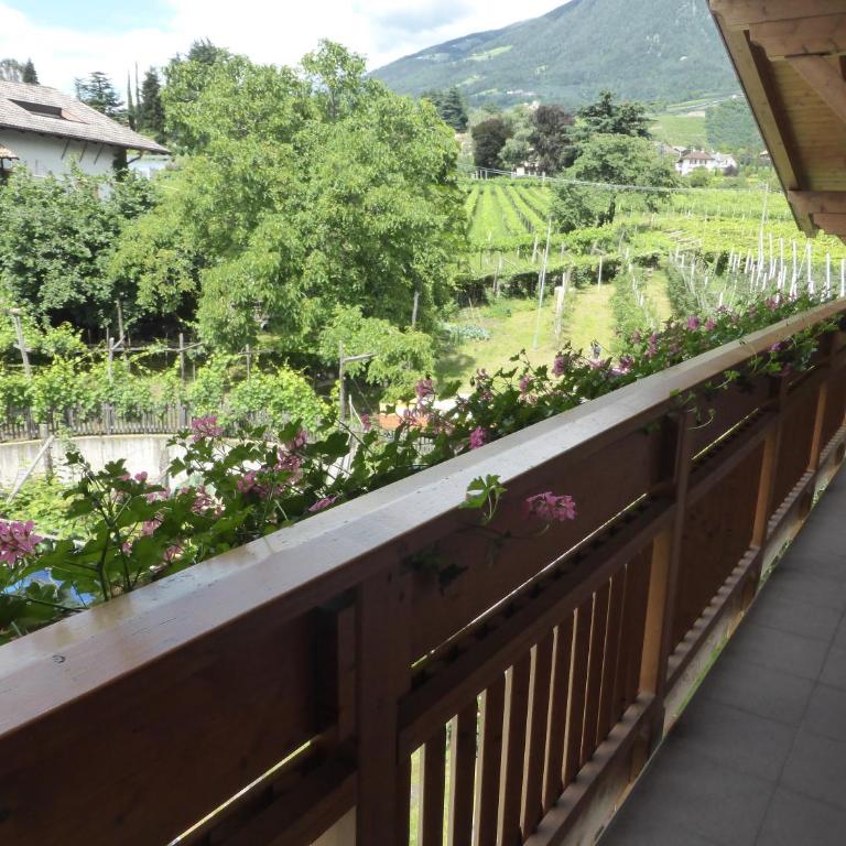 Oberschoeberlehof - Appartamento con 1 Camera da Letto - 13