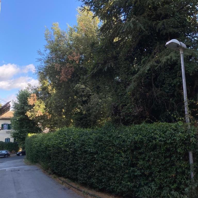 Alloggio Turistico La Panoramica - Bracciano (Roma) - Appartamento con 2 Camere da Letto - 17