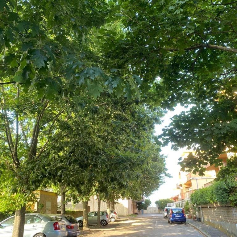 Alloggio Turistico La Panoramica - Bracciano (Roma) - Appartamento con 2 Camere da Letto - 16