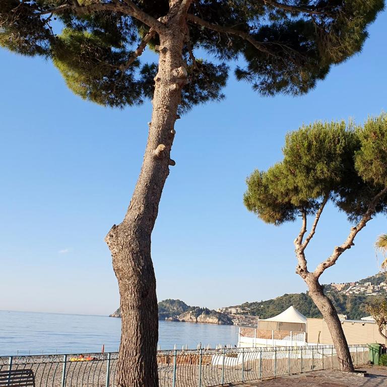 Luxury Beachfront Apartment Taormina Pool and Parking - Appartamento con 2 Camere da Letto - 58