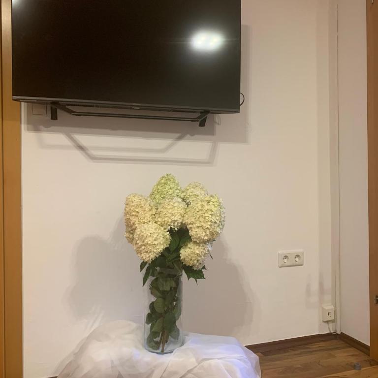 Schilcherland-Apartment - Apartment mit 1 Schlafzimmer - 4