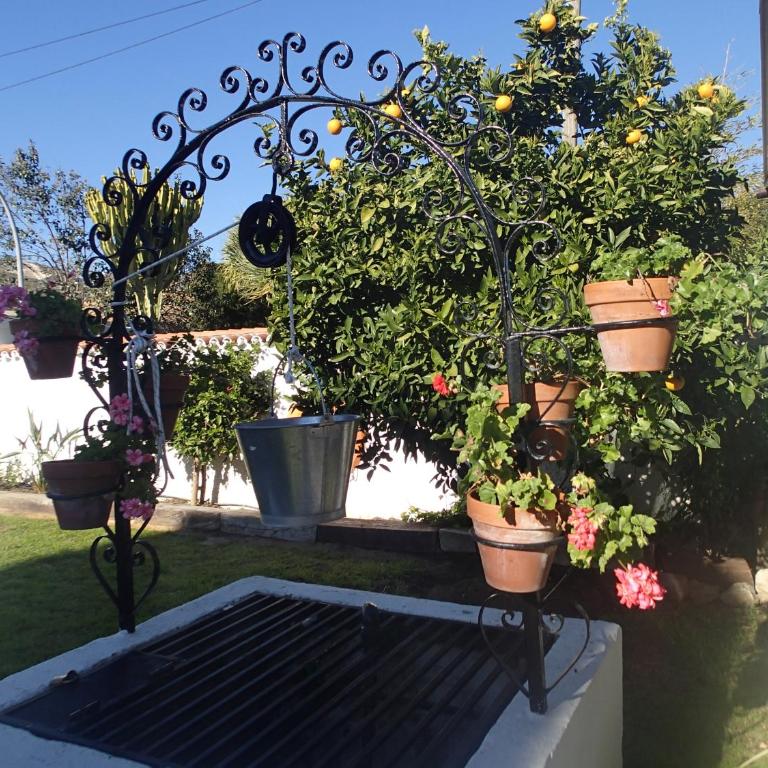 Casa de los Limones by Michael FAMILY VILLA NEAR PUERTO MARINA - Five-Bedroom House - 42