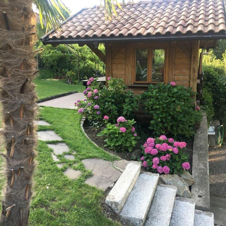 Villa Corazza-Bezauberndes Appartment+ Schwimmbad - Appartamento con 1 Camera da Letto - 10