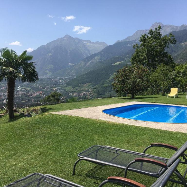 Villa Corazza-Bezauberndes Appartment+ Schwimmbad - Appartamento con 1 Camera da Letto - 1