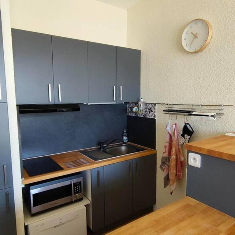 Bel appartement 45m2 rez de chaussée plein sud - Appartement 1 Chambre - 10