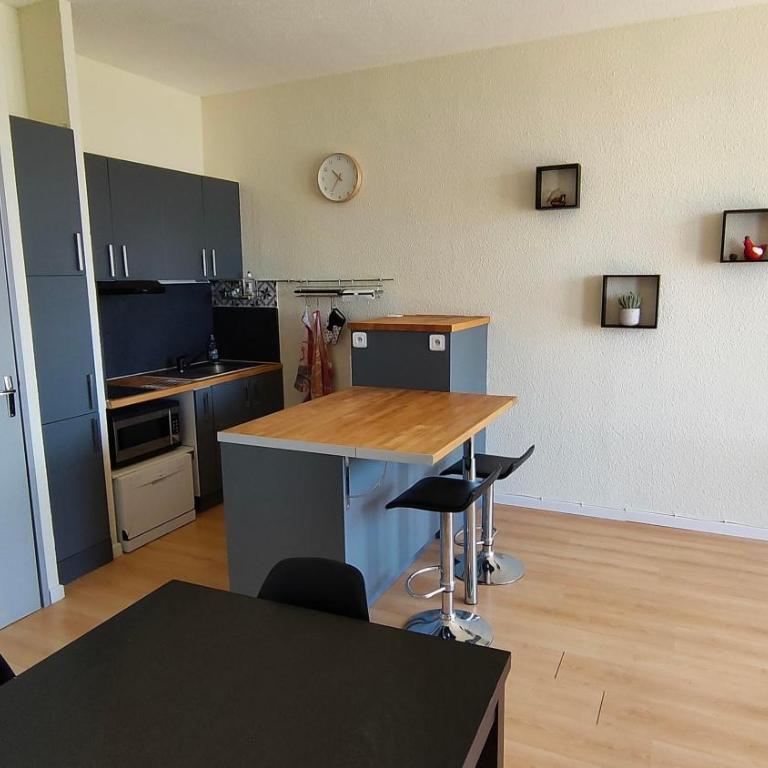 Bel appartement 45m2 rez de chaussée plein sud - Appartement 1 Chambre - 17